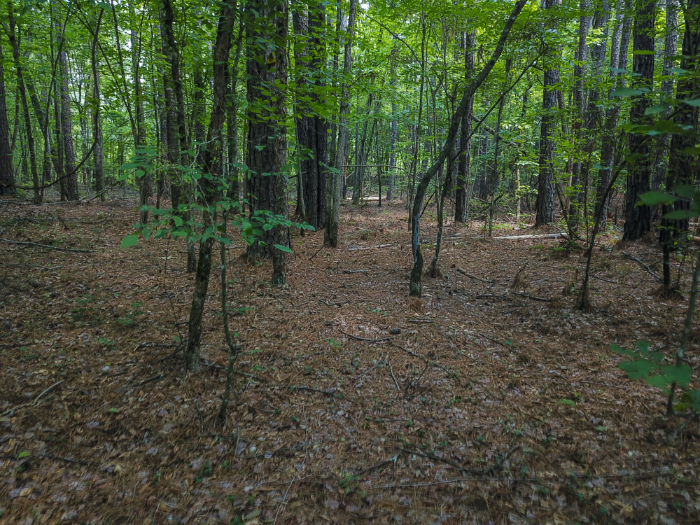 Bonnerdale, AR 71943 - image 12