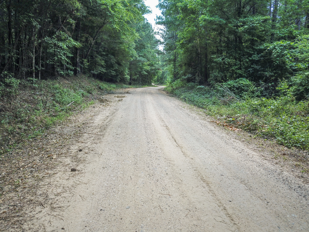 Bonnerdale, AR 71943 - image 10