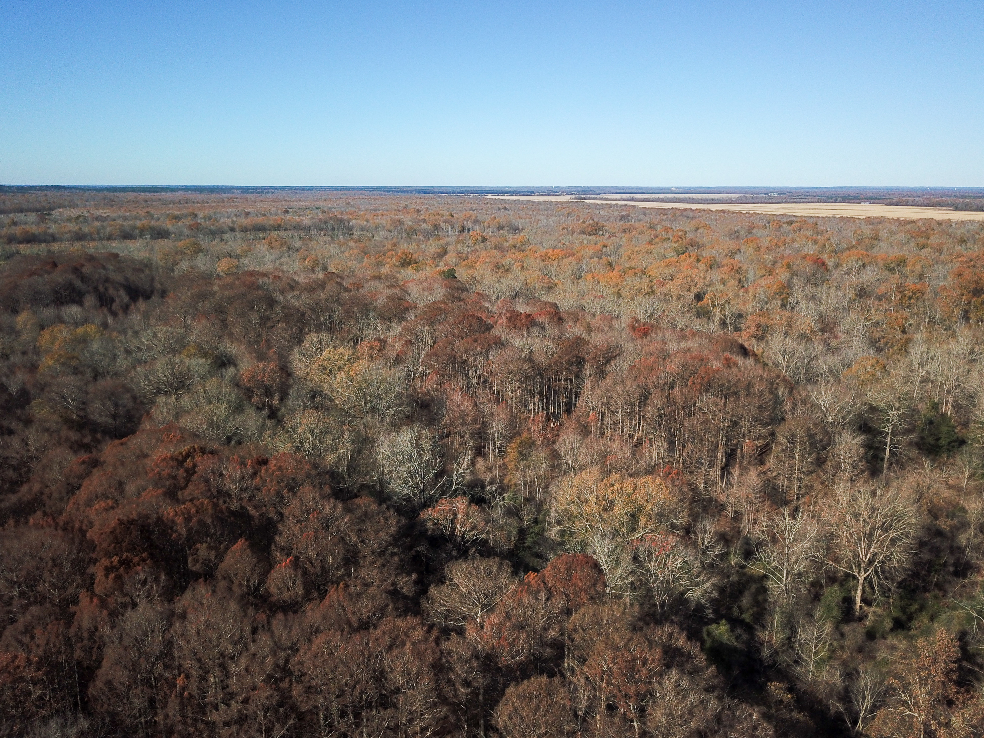 Arkadelphia, AR 71923 - image 1