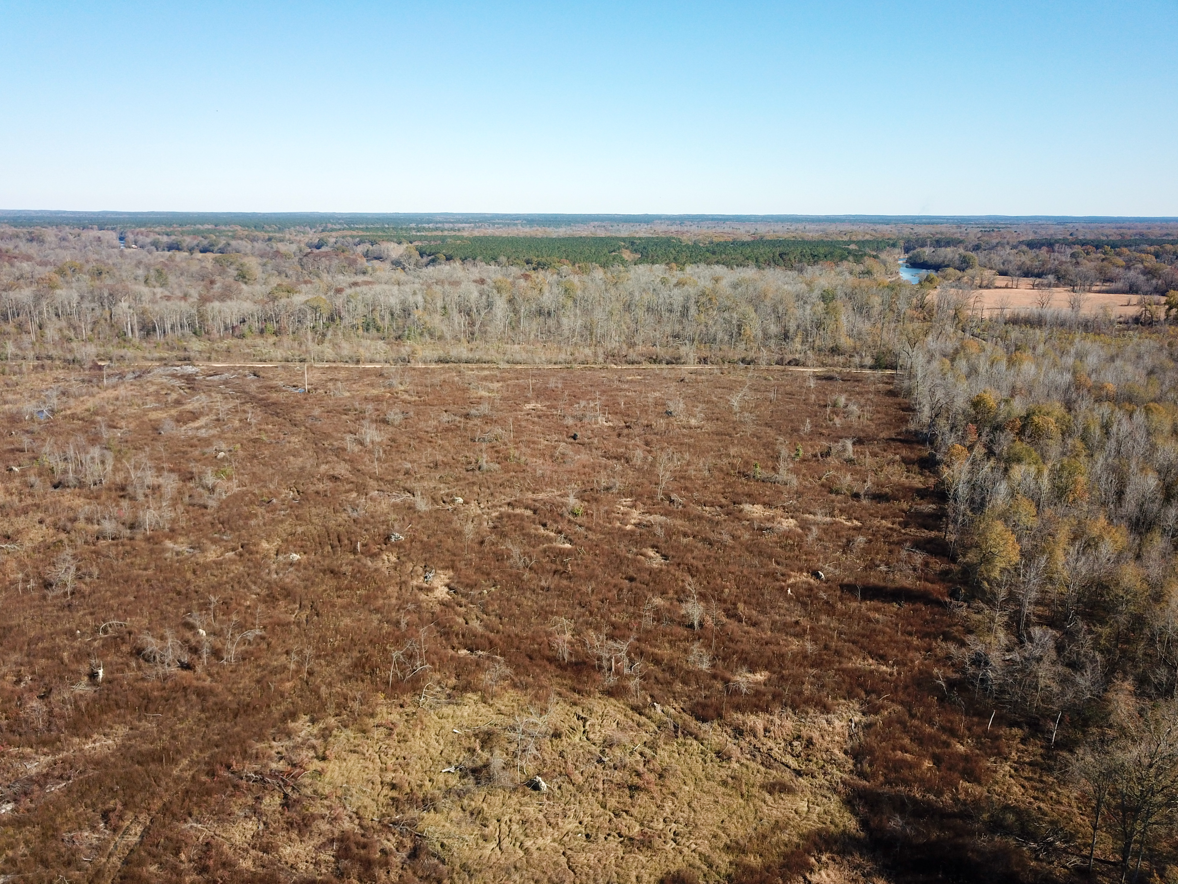 Arkadelphia, AR 71923 - image 7