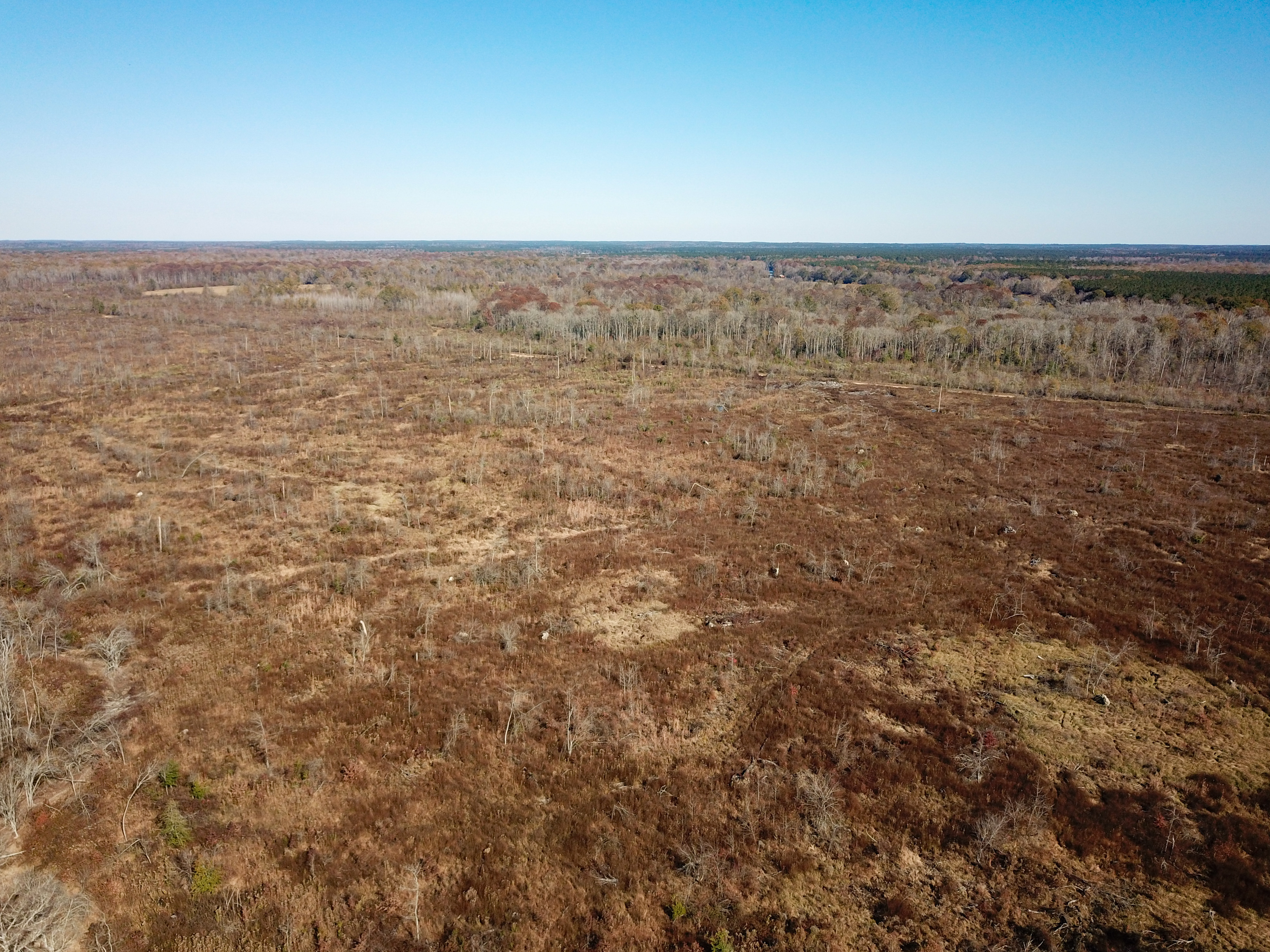 Arkadelphia, AR 71923 - image 8