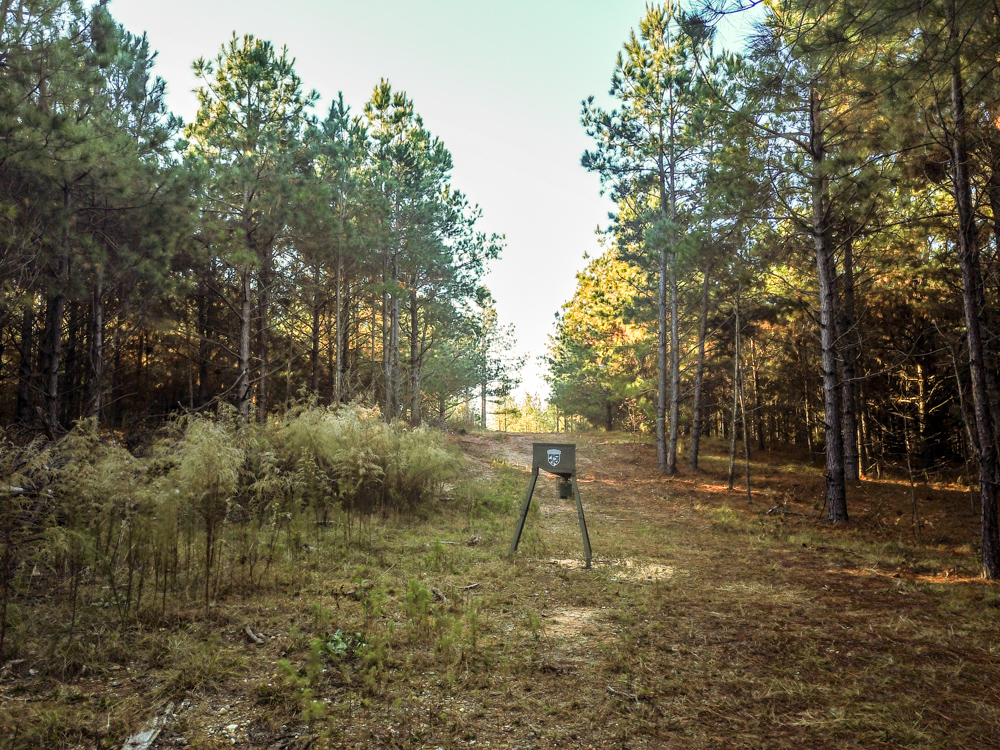 Bearden, AR 71720 - image 24