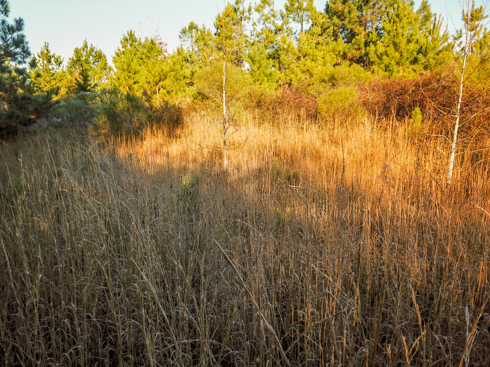 Bearden, AR 71720 - image 25