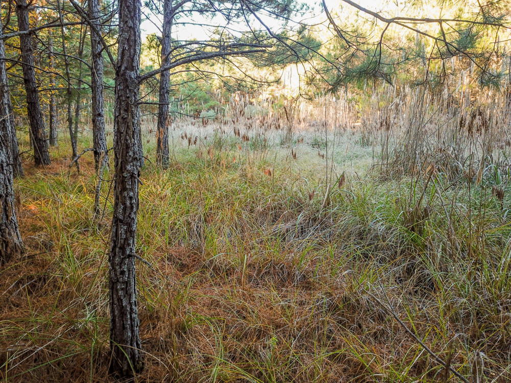 Bearden, AR 71720 - image 28