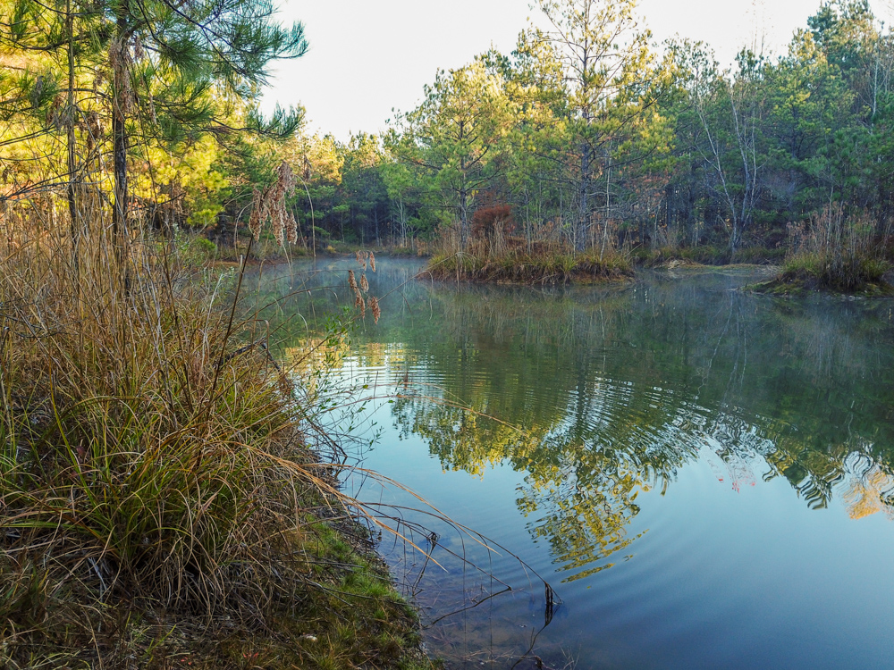 Bearden, AR 71720 - image 35