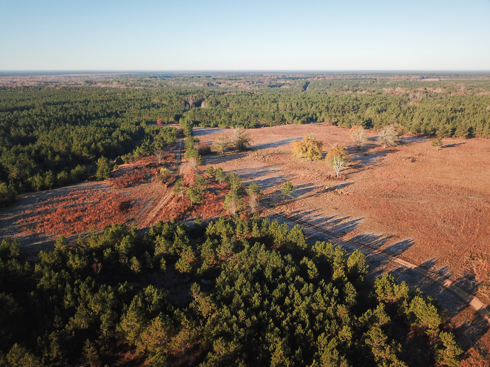 Bearden, AR 71720 - image 7