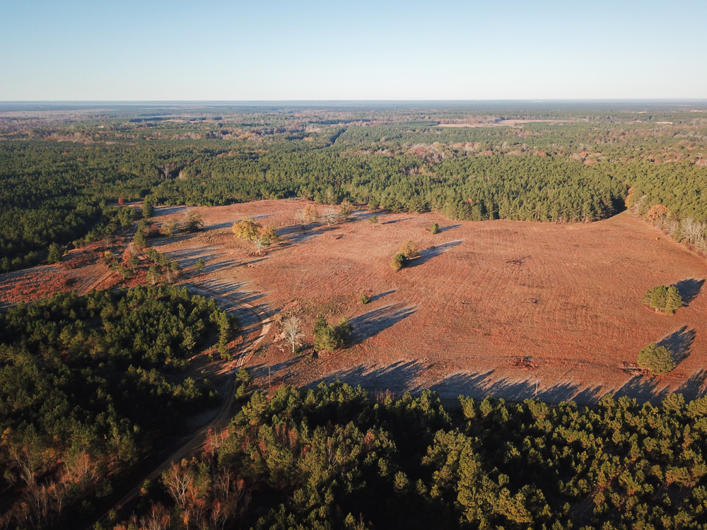 Bearden, AR 71720 - image 8