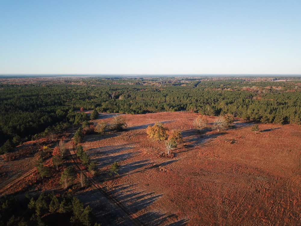 Bearden, AR 71720 - image 5