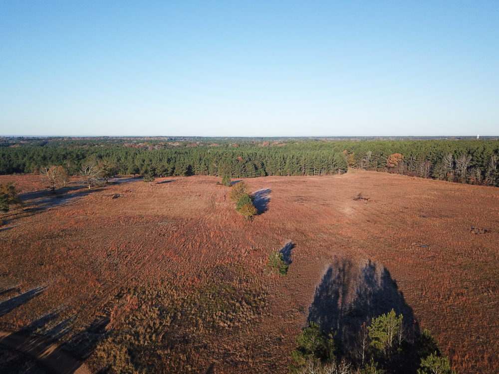 Bearden, AR 71720 - image 9