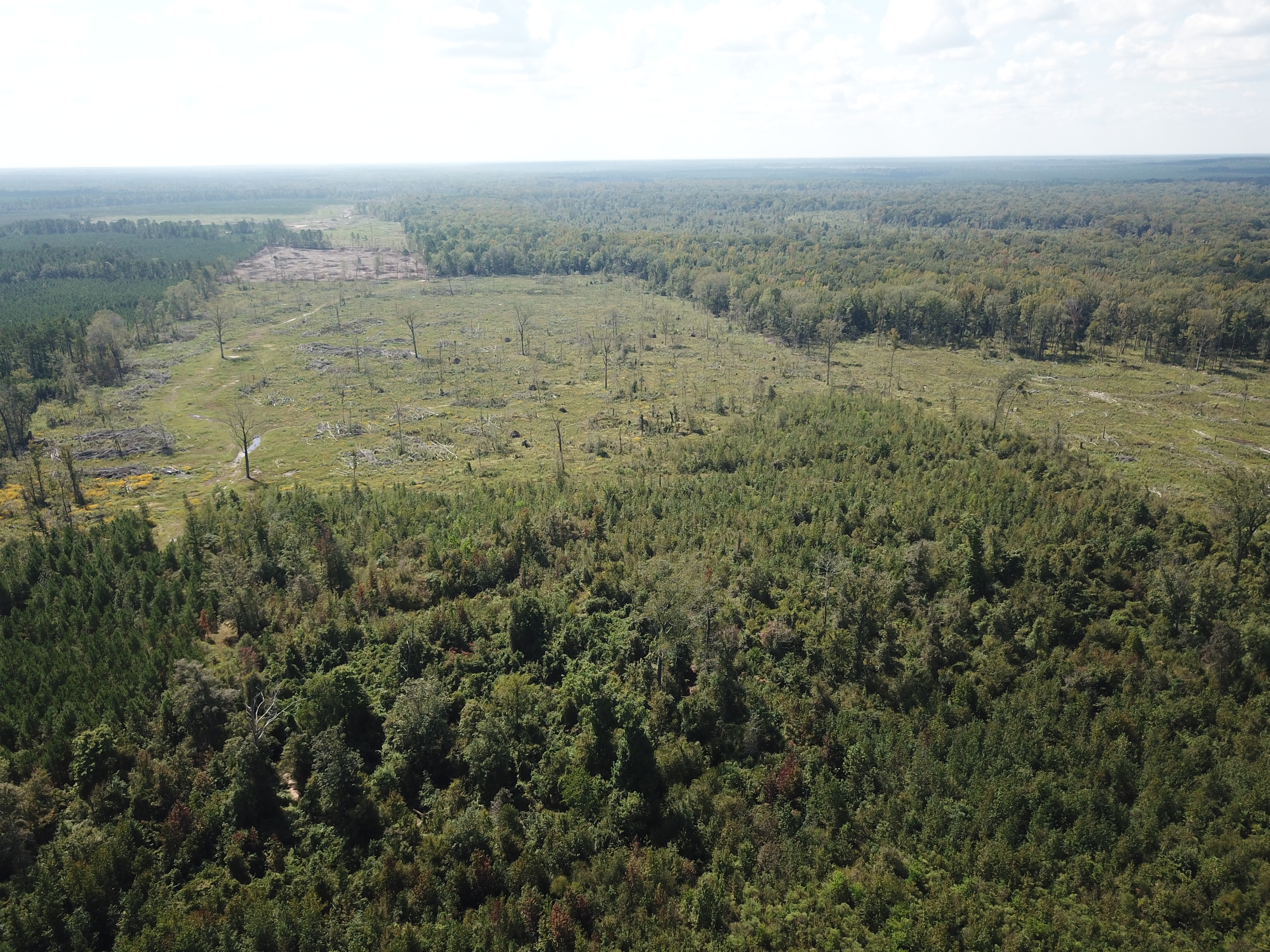 Warren, AR 71671 - image 4