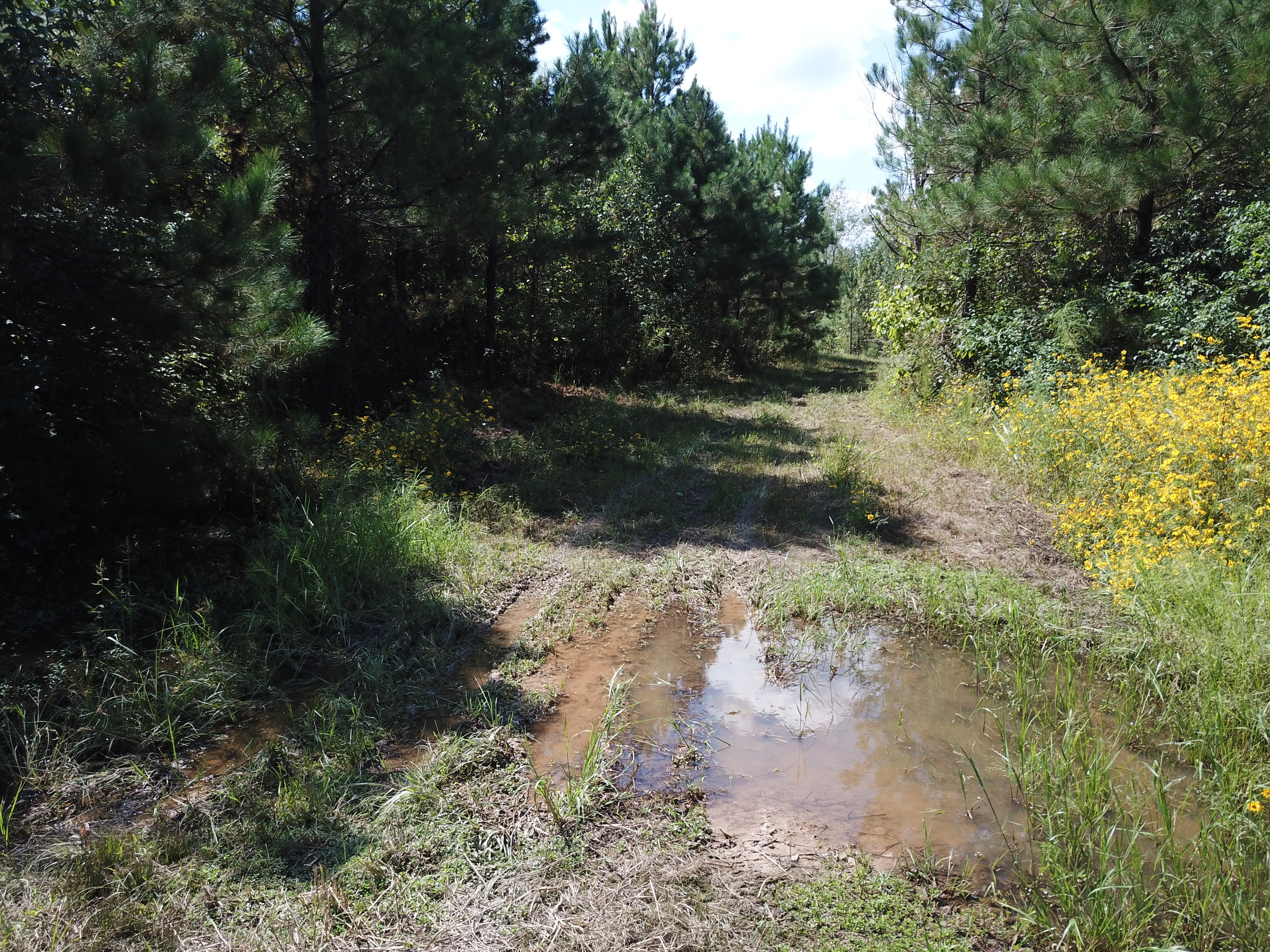 Warren, AR 71671 - image 27