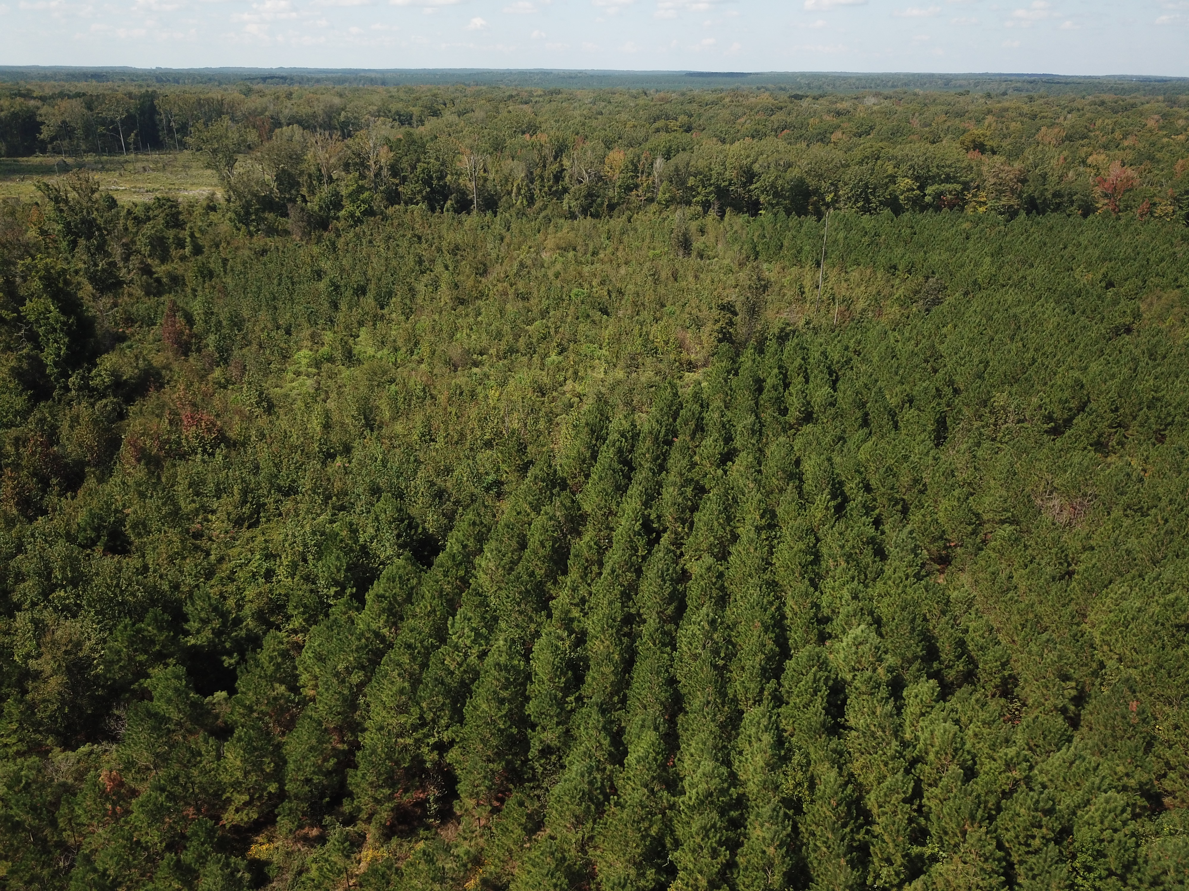 Warren, AR 71671 - image 7