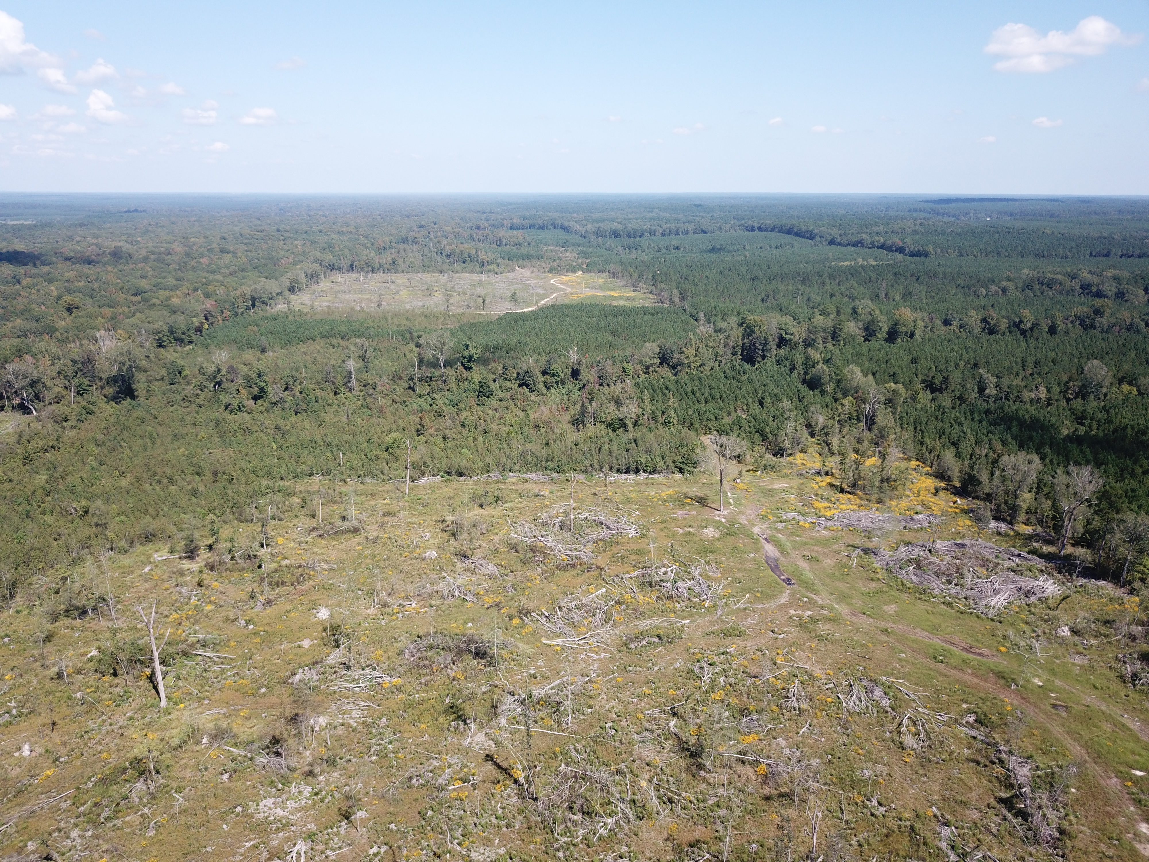 Warren, AR 71671 - image 5