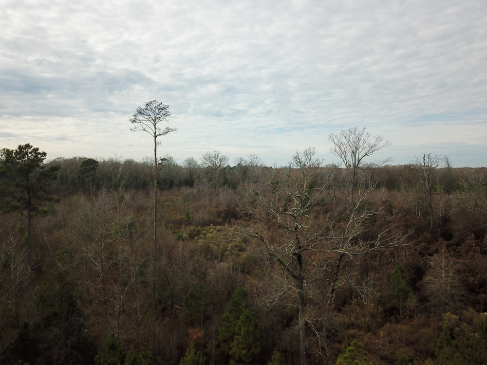 Warren, AR 71671 - image 21