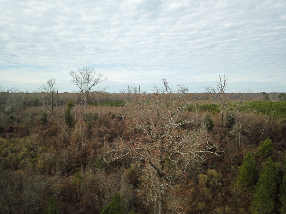 Warren, AR 71671 - image 22