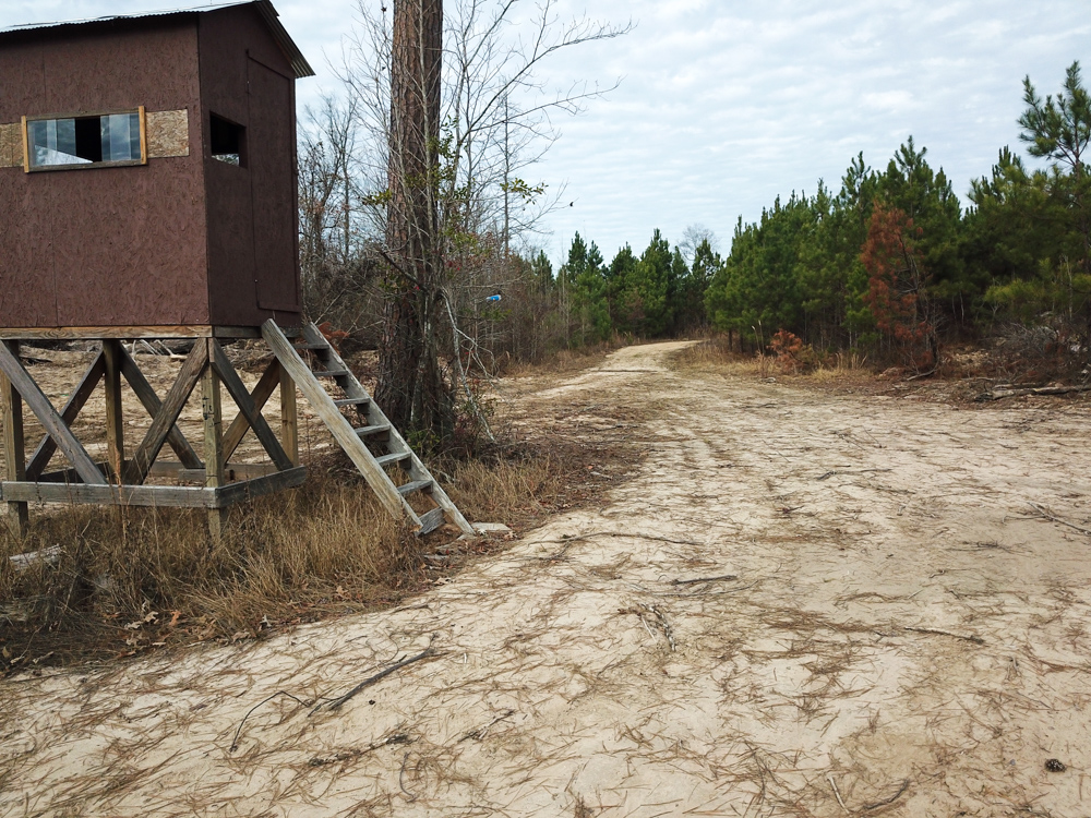 Warren, AR 71671 - image 28