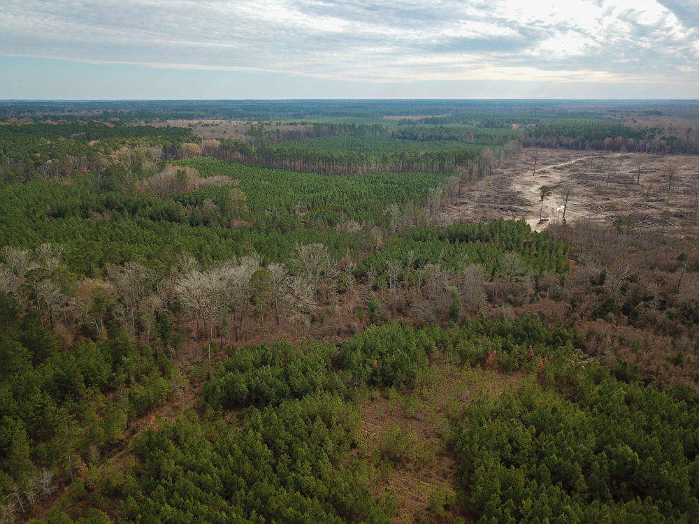 Warren, AR 71671 - image 2