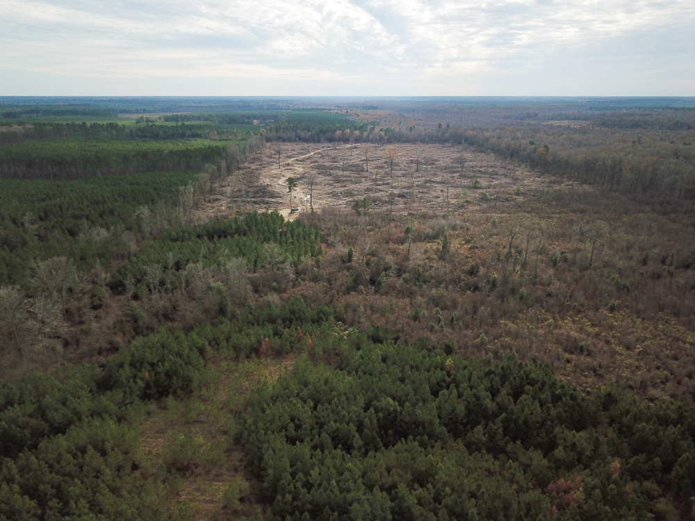 Warren, AR 71671 - image 3