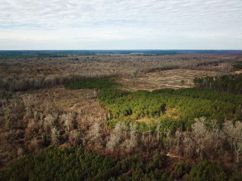 Warren, AR 71671 - image 23