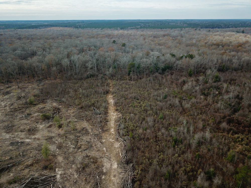 Warren, AR 71671 - image 20