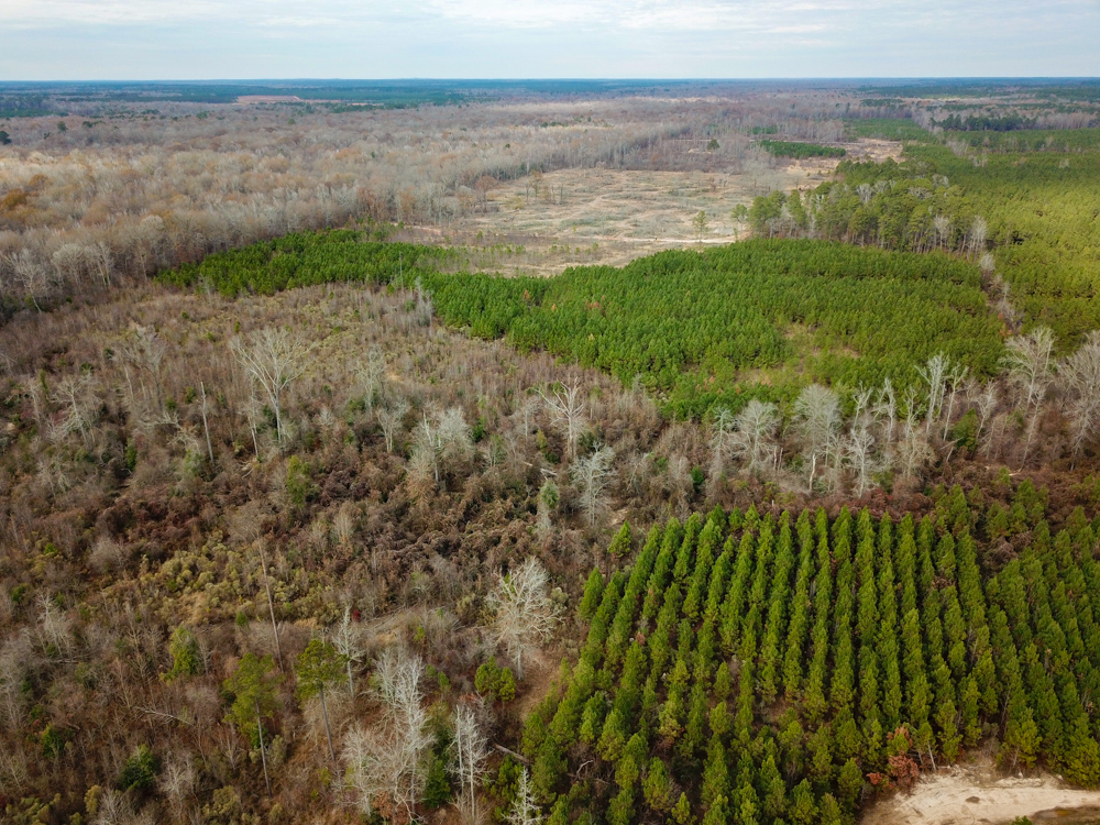 Warren, AR 71671 - image 24