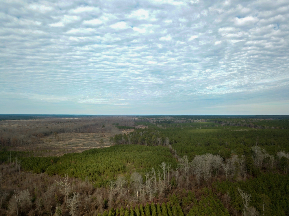 Warren, AR 71671 - image 11