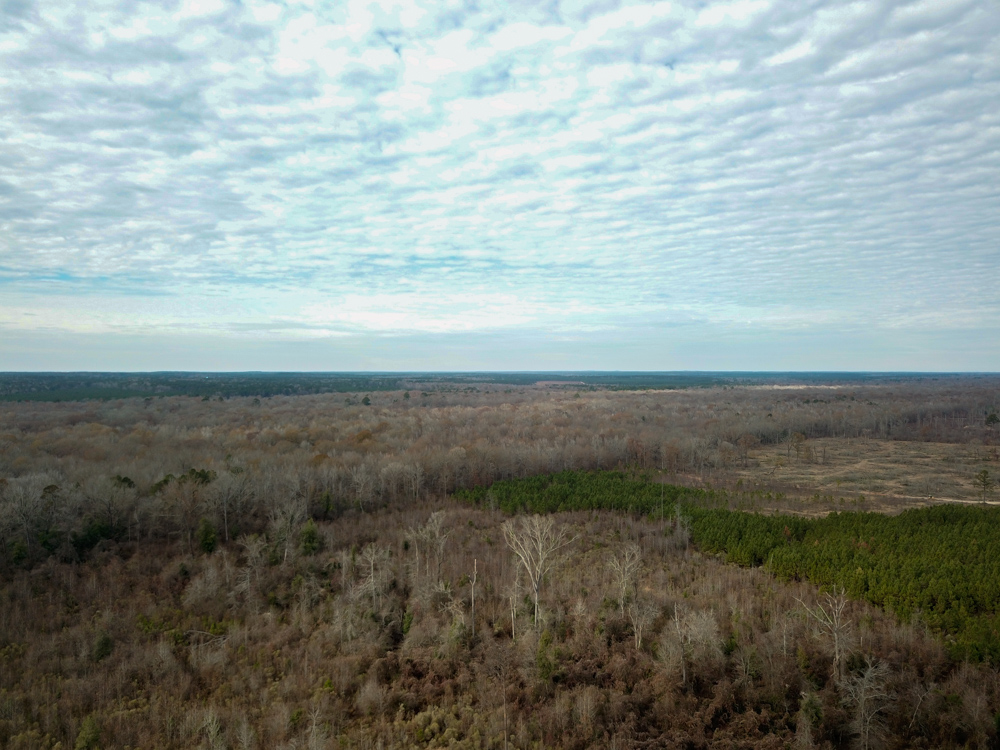 Warren, AR 71671 - image 12