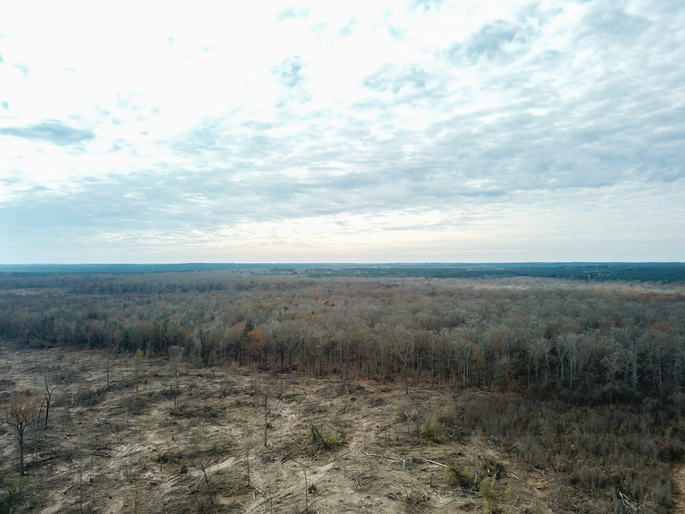 Warren, AR 71671 - image 17