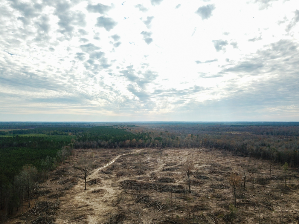 Warren, AR 71671 - image 14