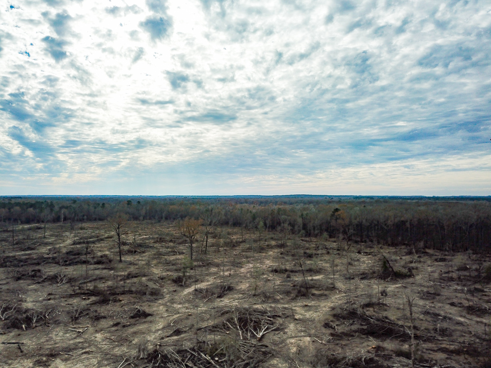 Warren, AR 71671 - image 13