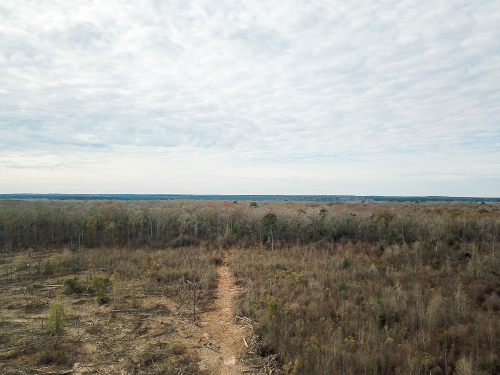 Warren, AR 71671 - image 15