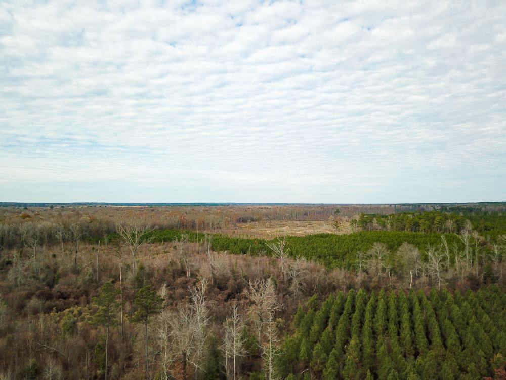 Warren, AR 71671 - image 16