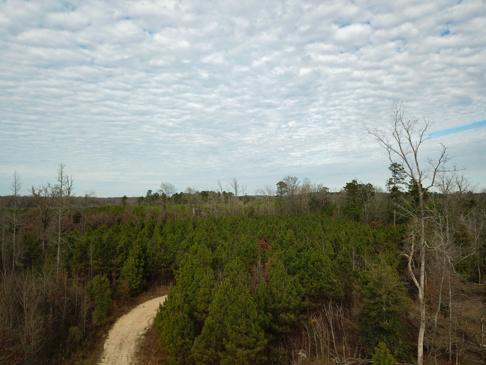 Warren, AR 71671 - image 18