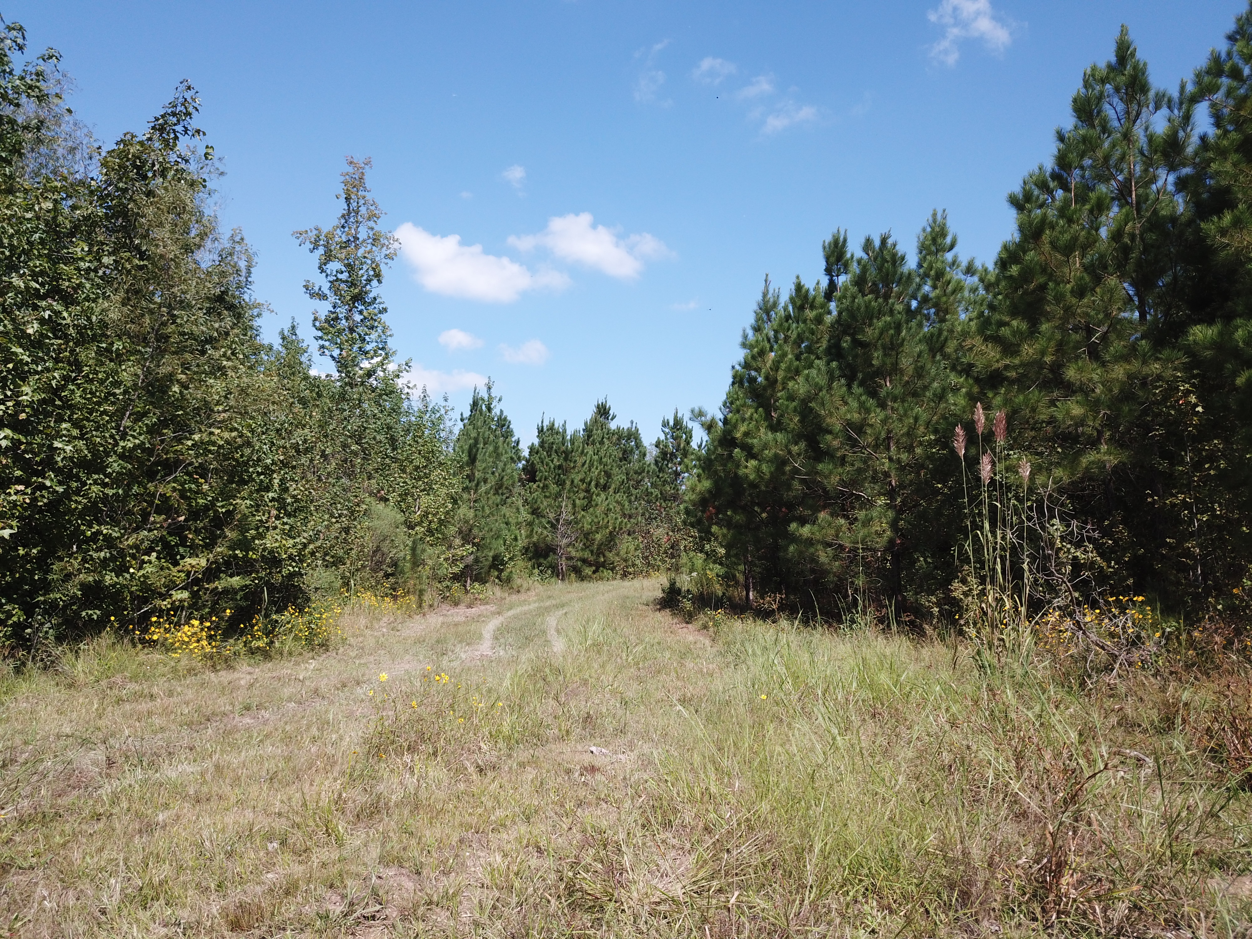 Warren, AR 71671 - image 30