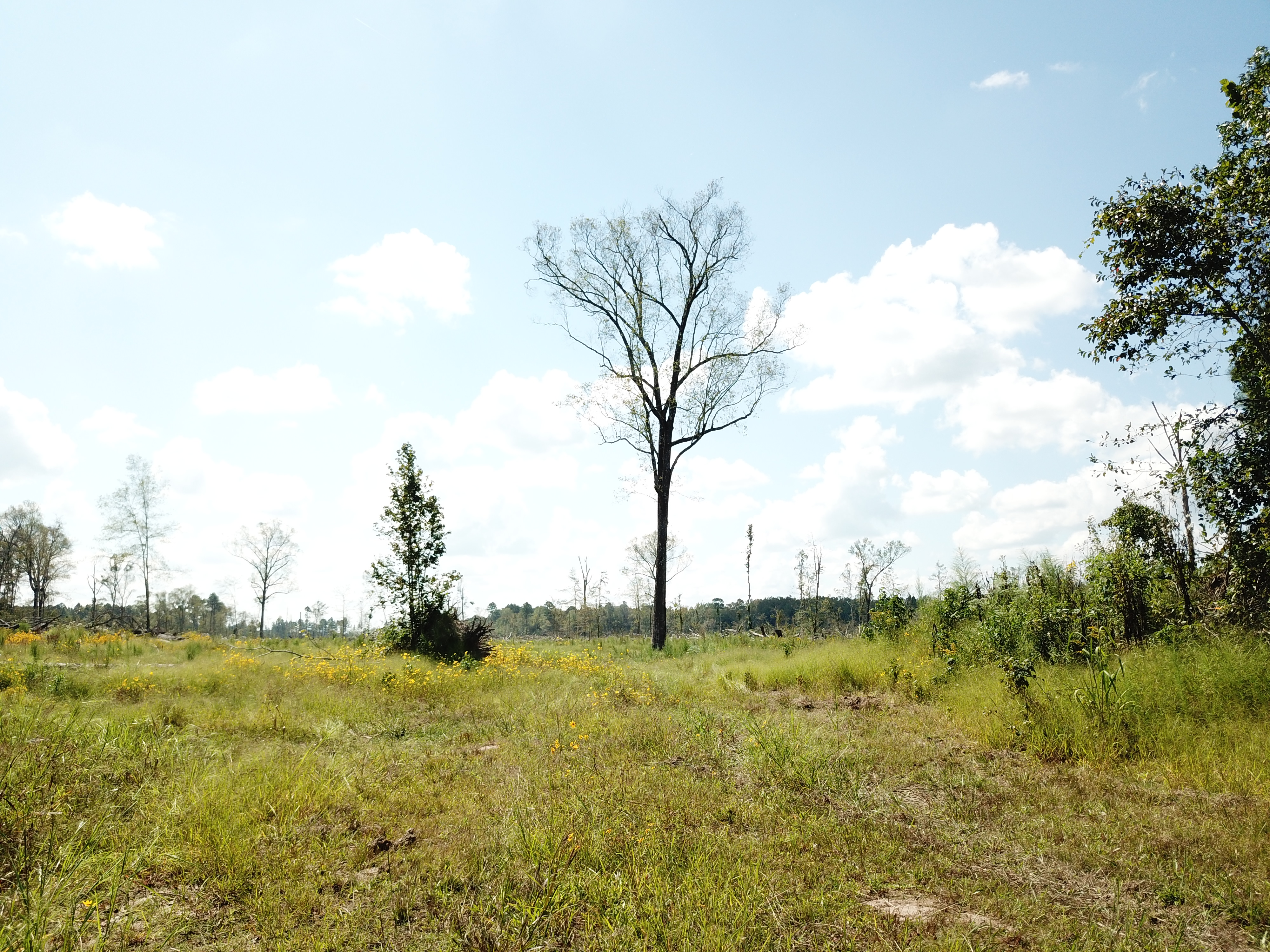 Warren, AR 71671 - image 31