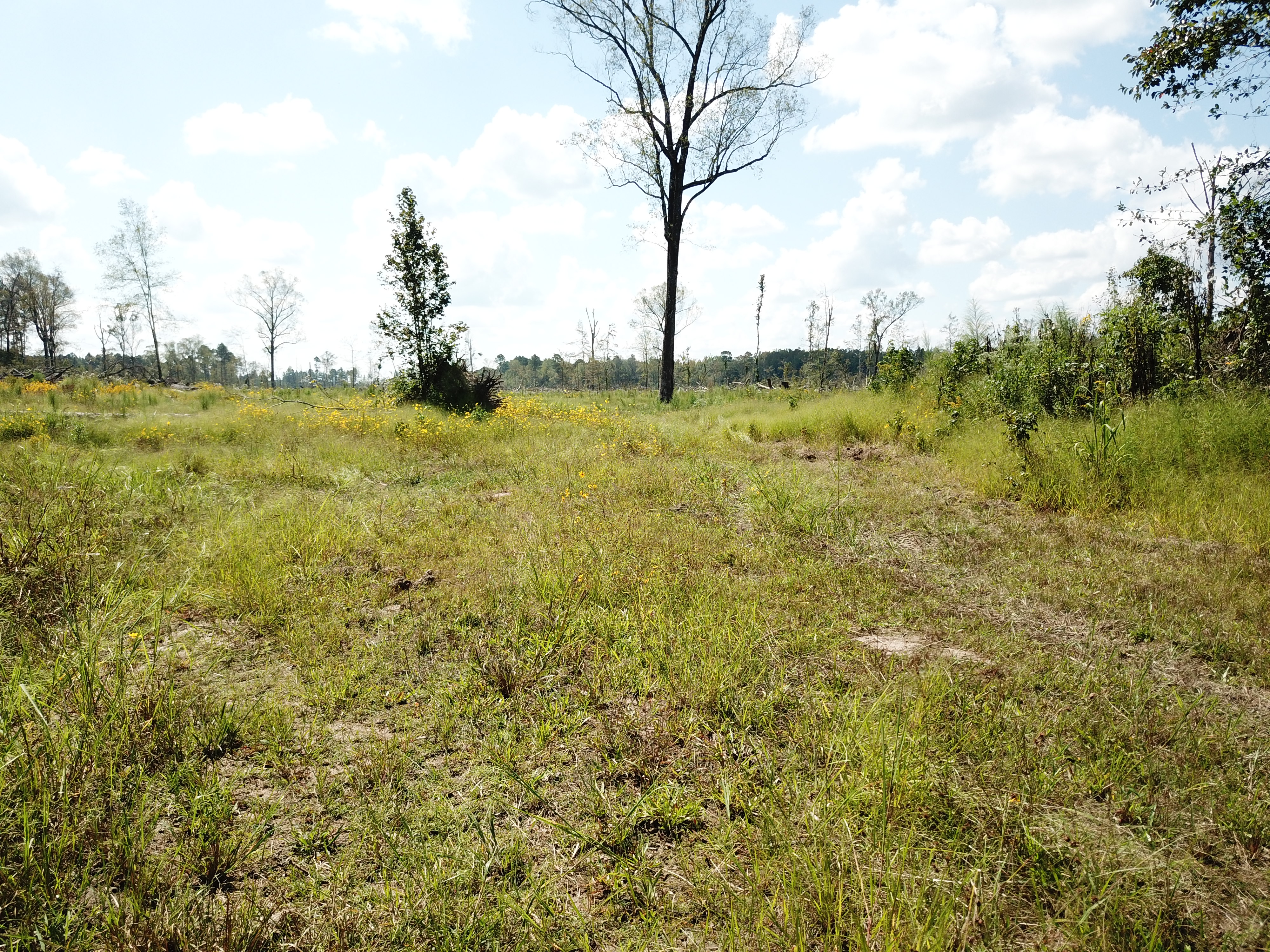 Warren, AR 71671 - image 32