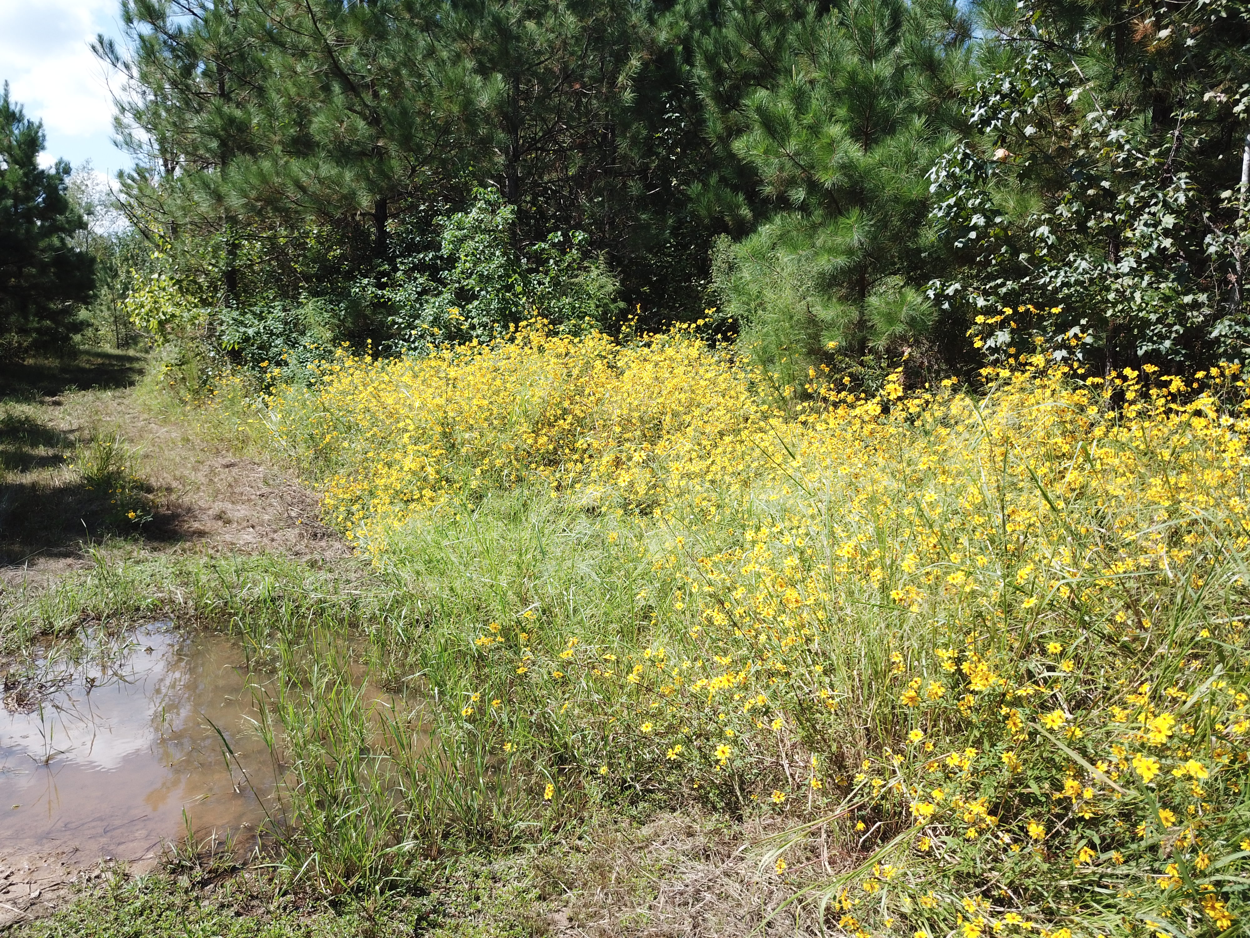 Warren, AR 71671 - image 33