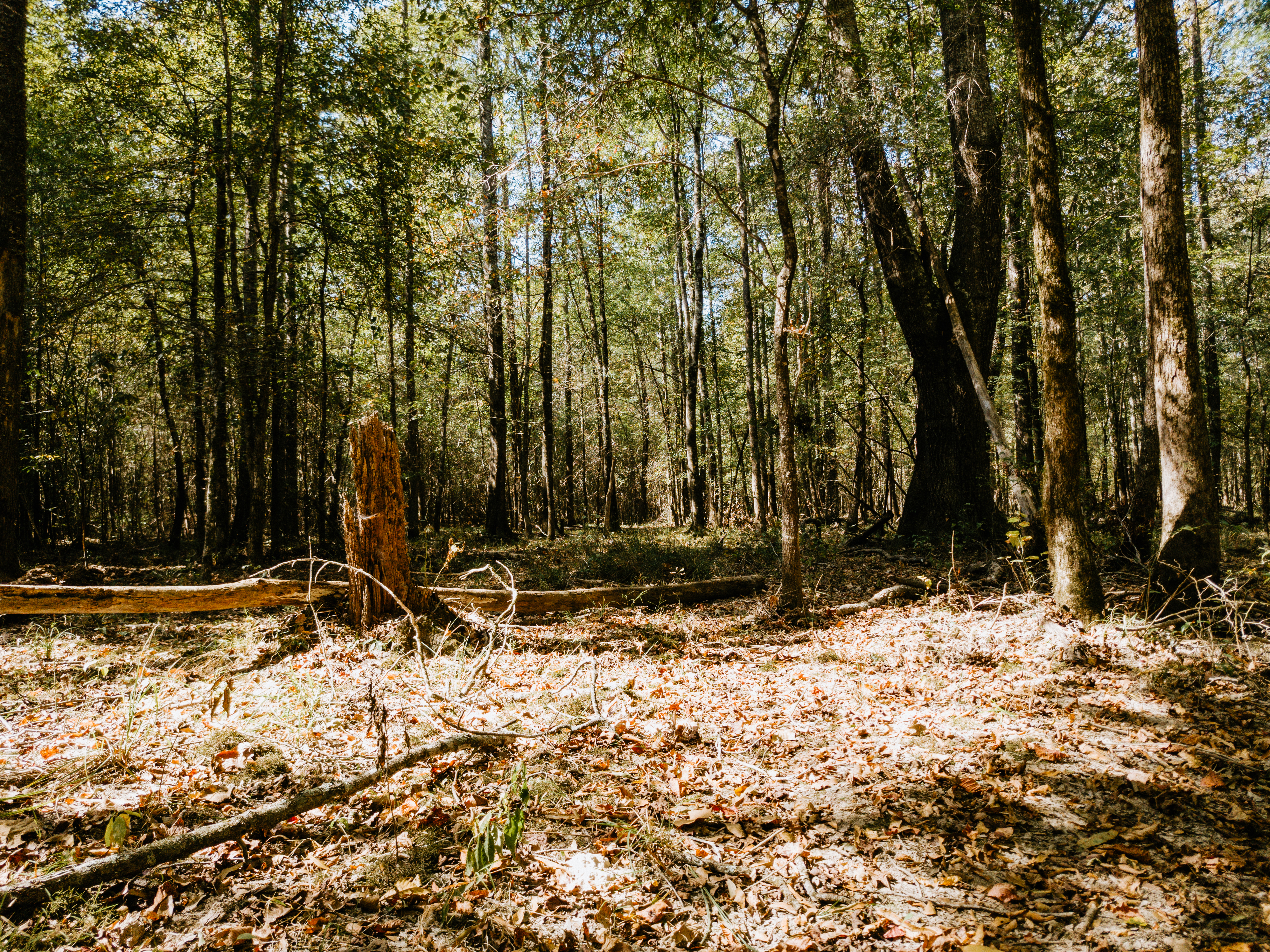 Haskell, AR 72015 - image 35