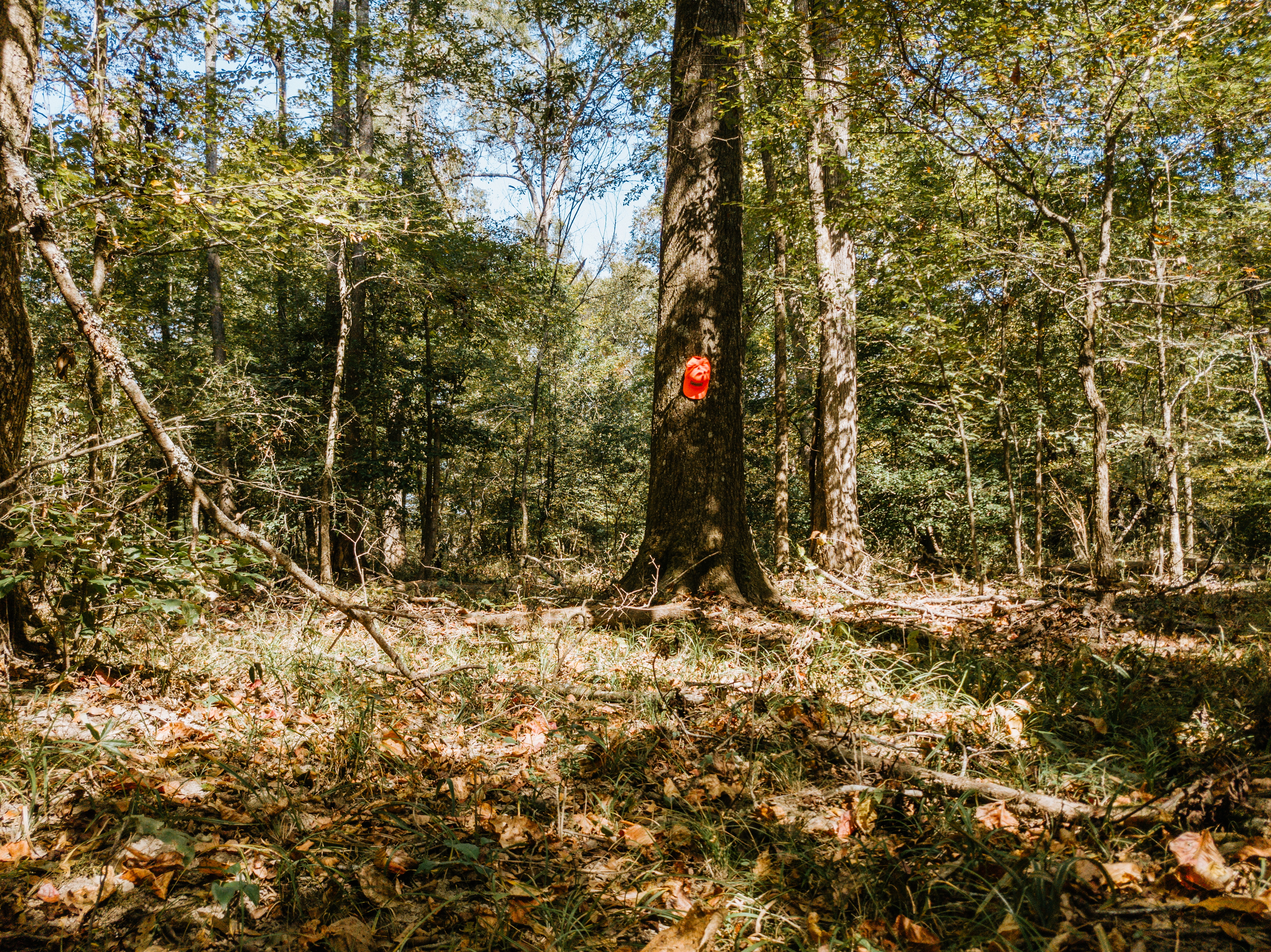 Haskell, AR 72015 - image 33