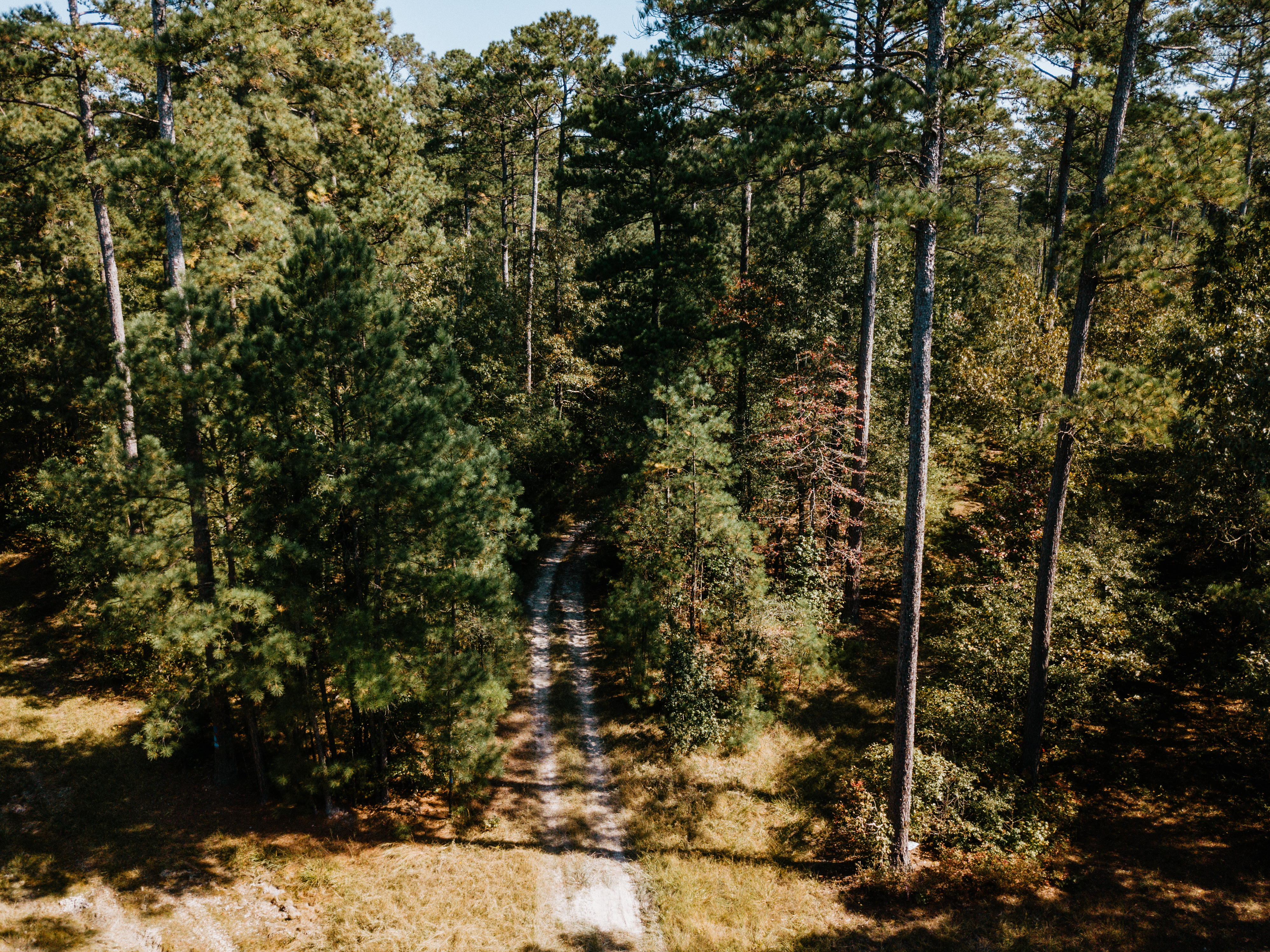 Haskell, AR 72015 - image 27