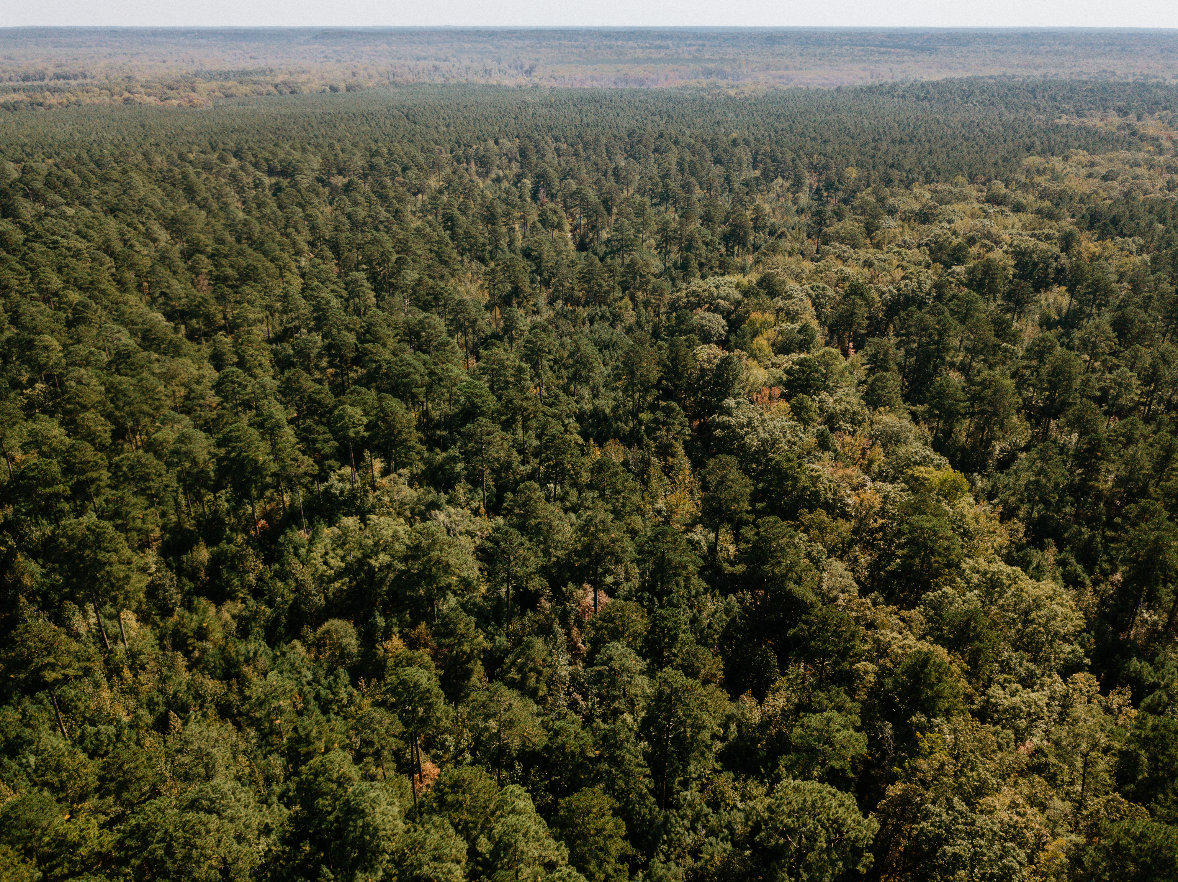 Haskell, AR 72015 - image 25