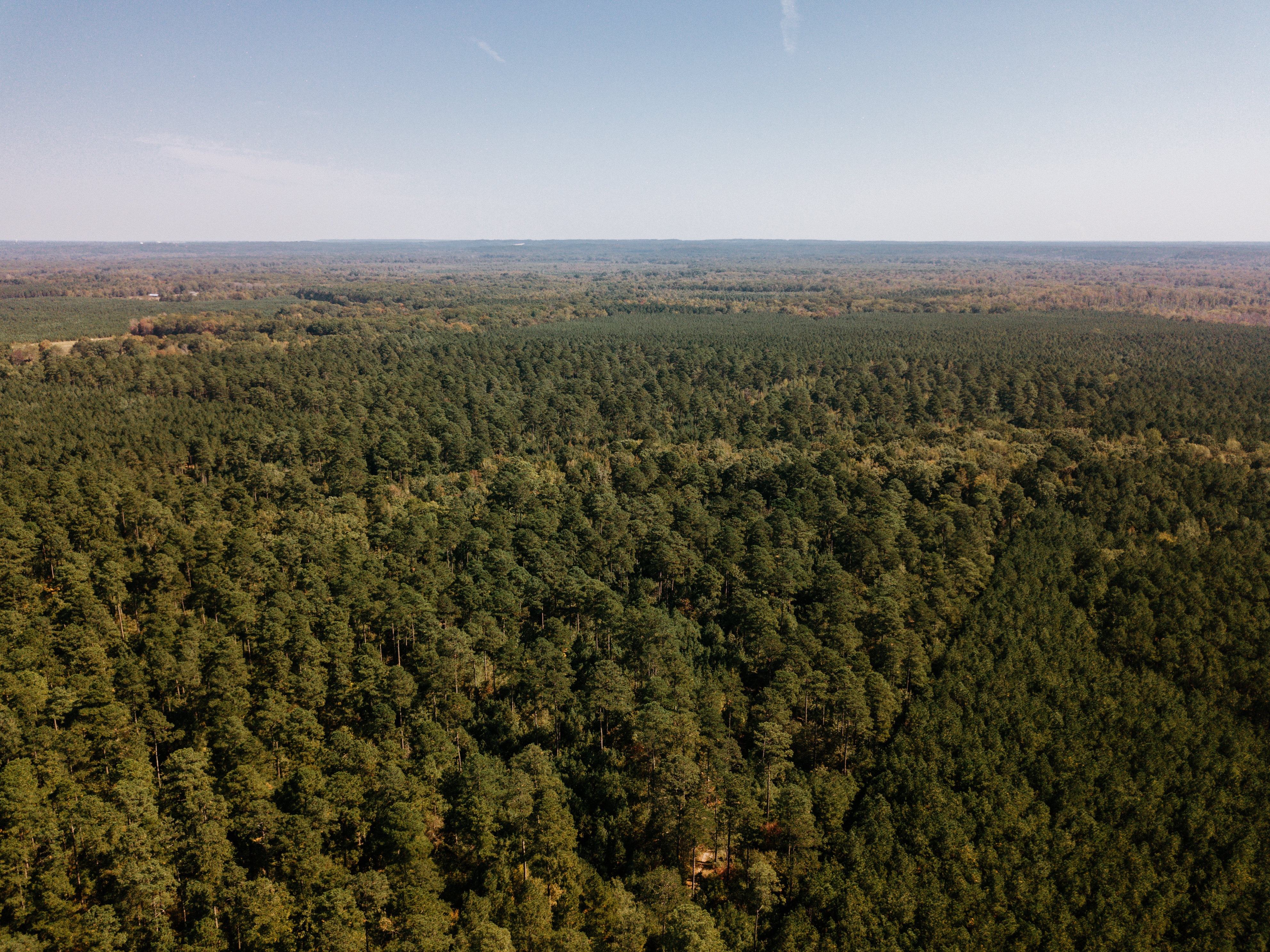 Haskell, AR 72015 - image 21