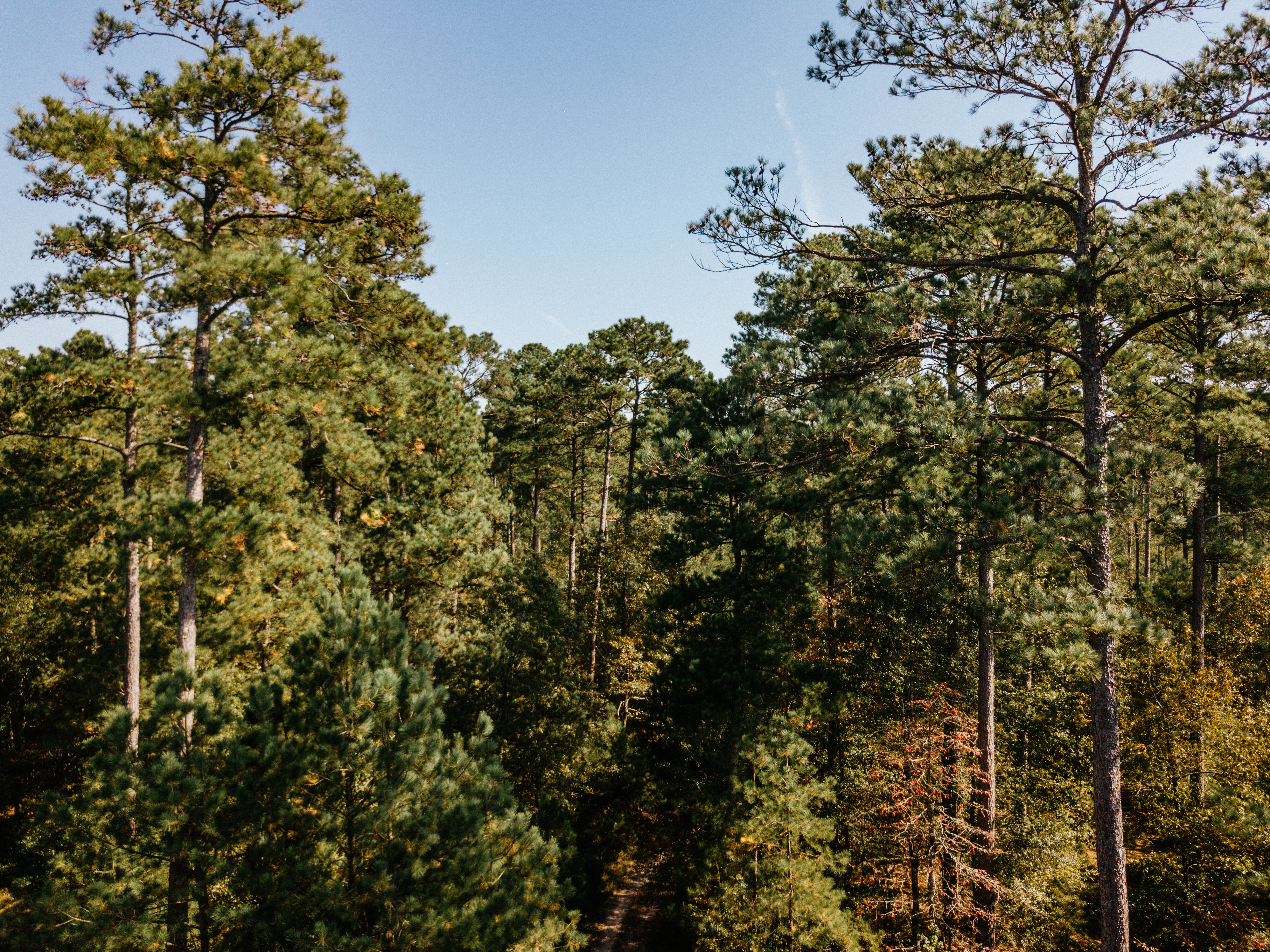 Haskell, AR 72015 - image 22