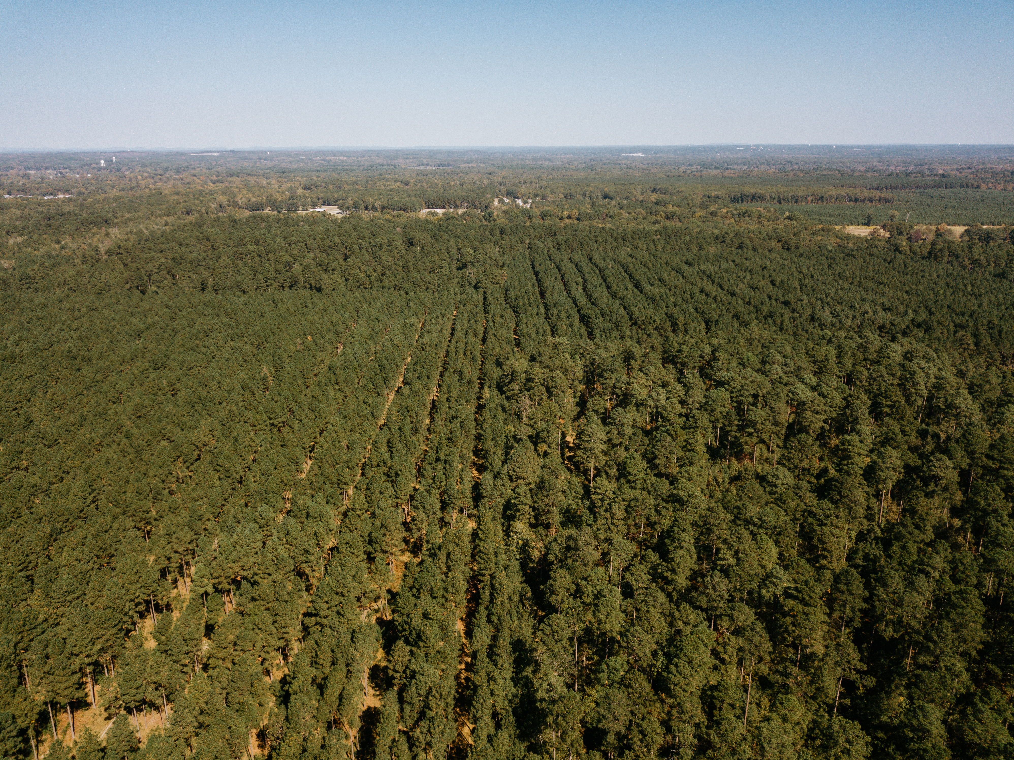 Haskell, AR 72015 - image 26