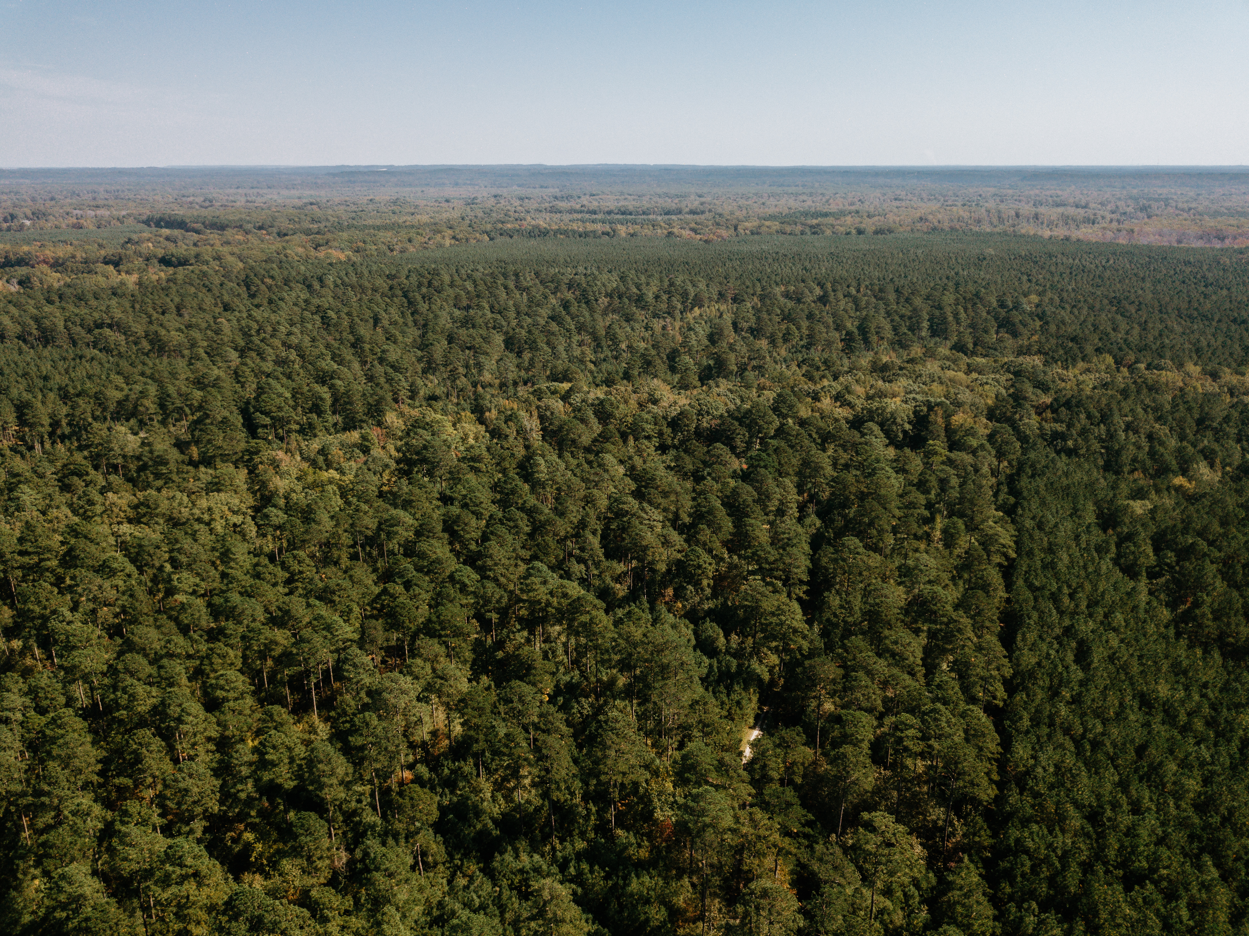 Haskell, AR 72015 - image 24