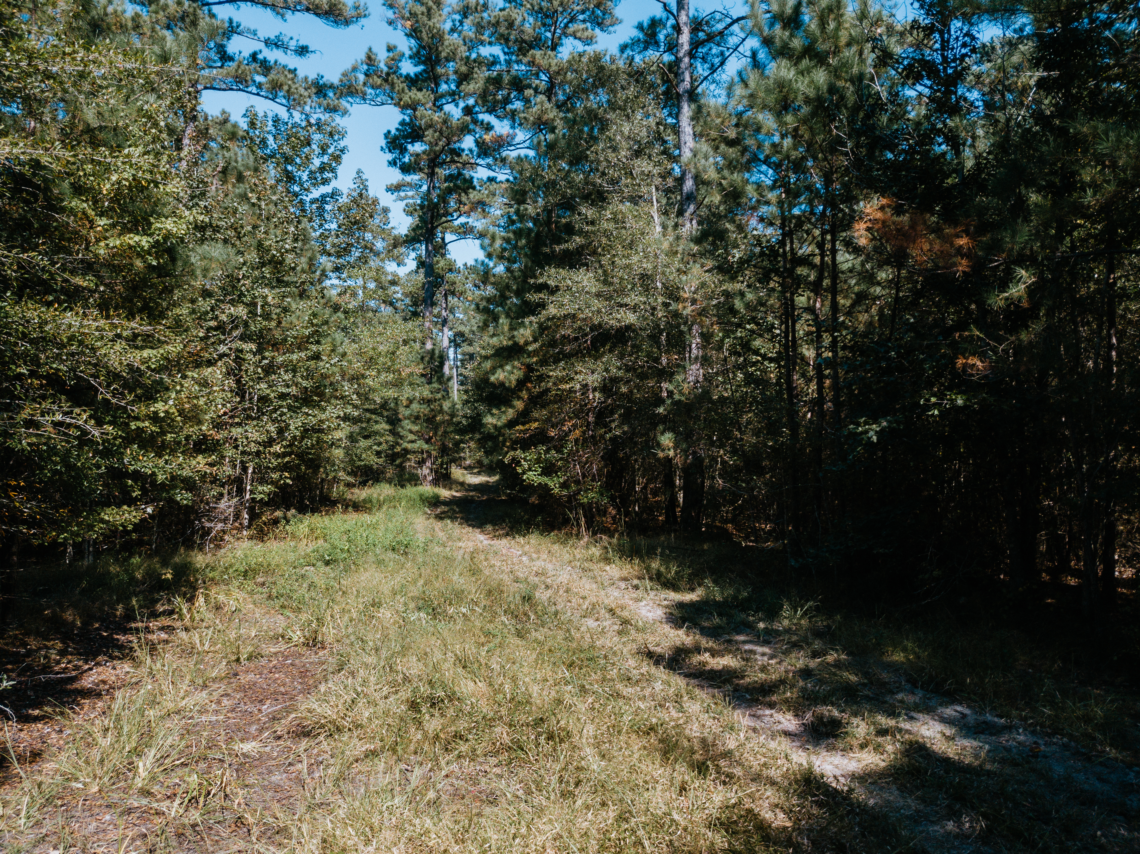 Haskell, AR 72015 - image 16