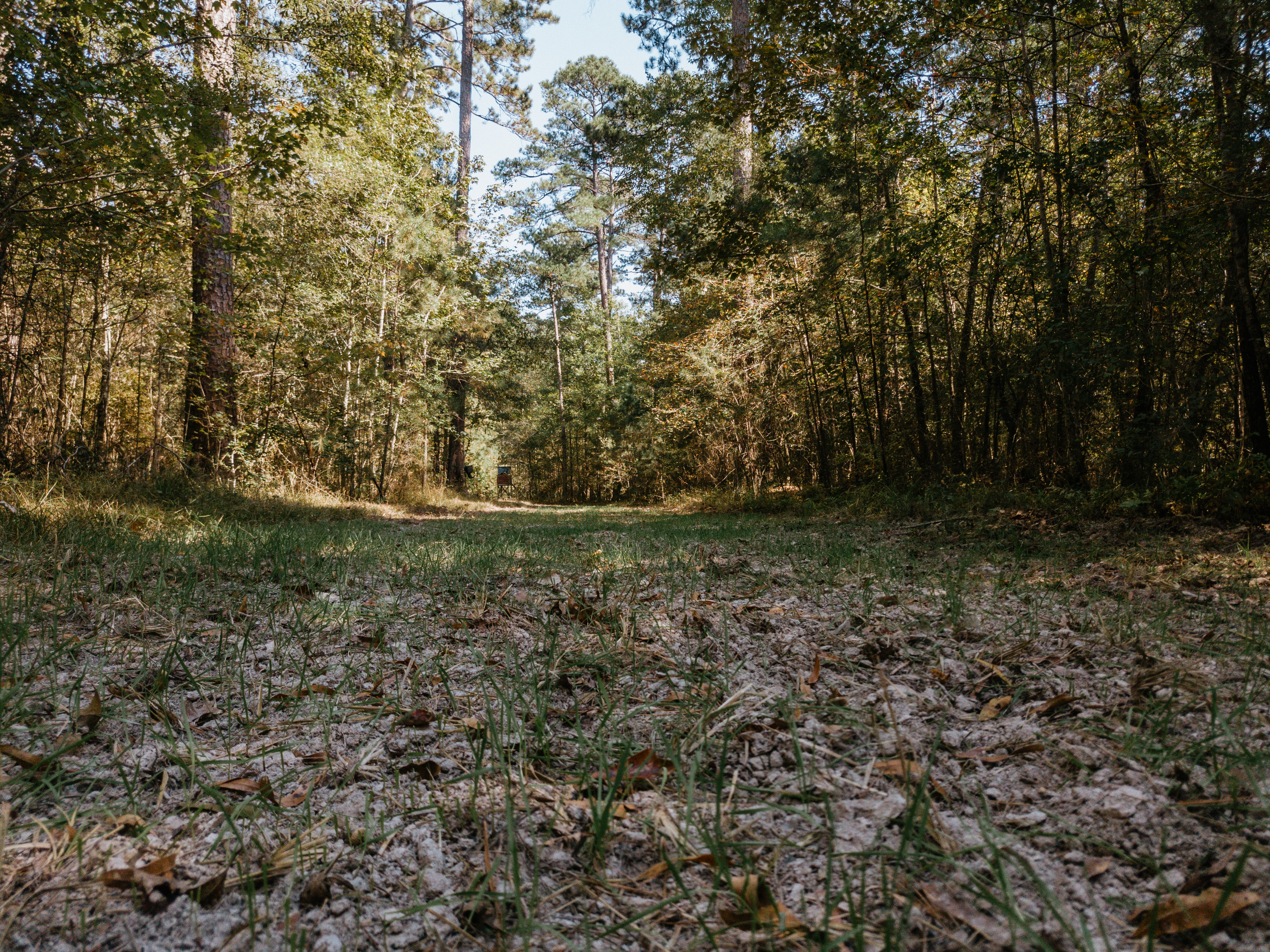 Haskell, AR 72015 - image 6