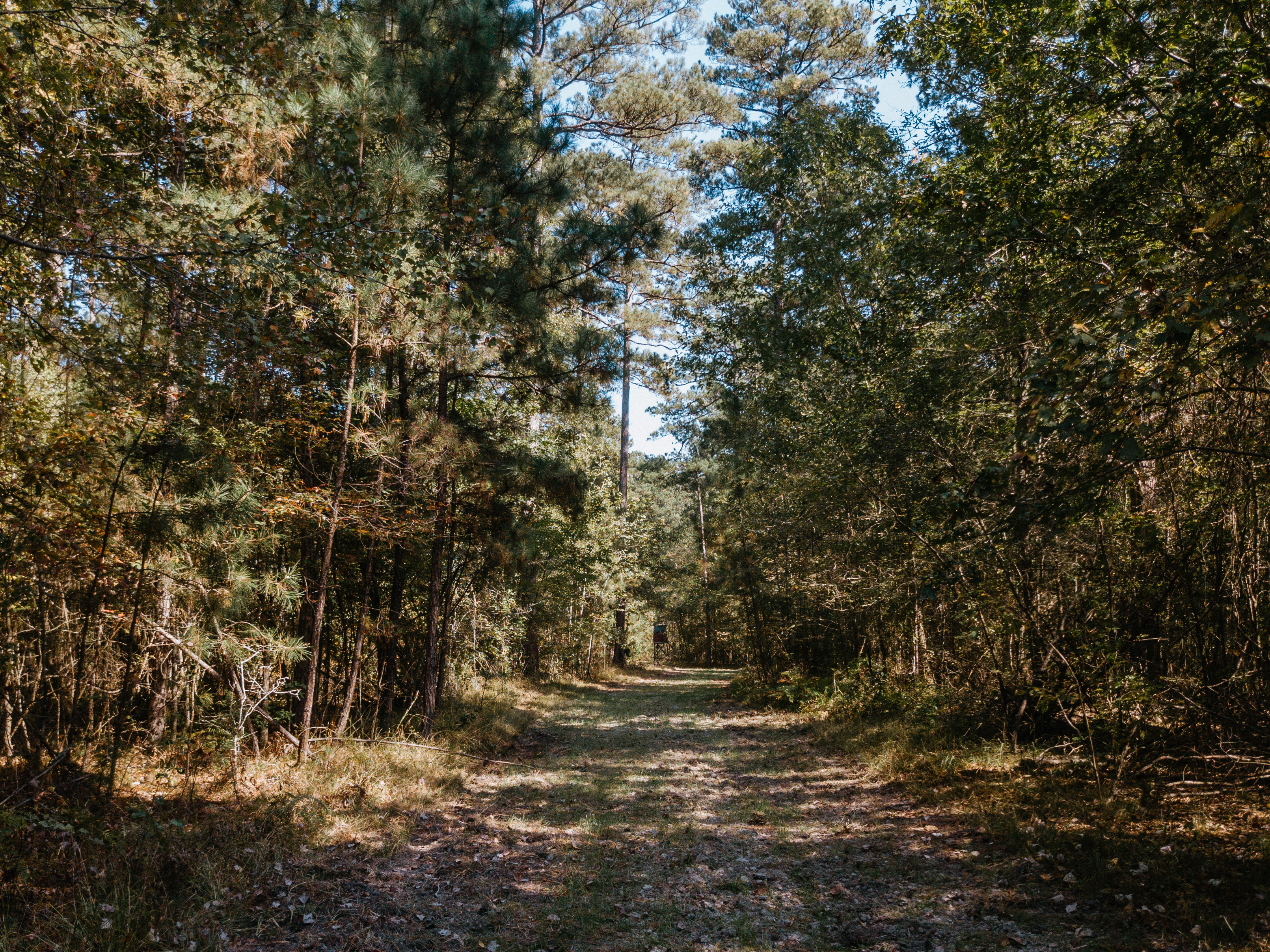 Haskell, AR 72015 - image 14