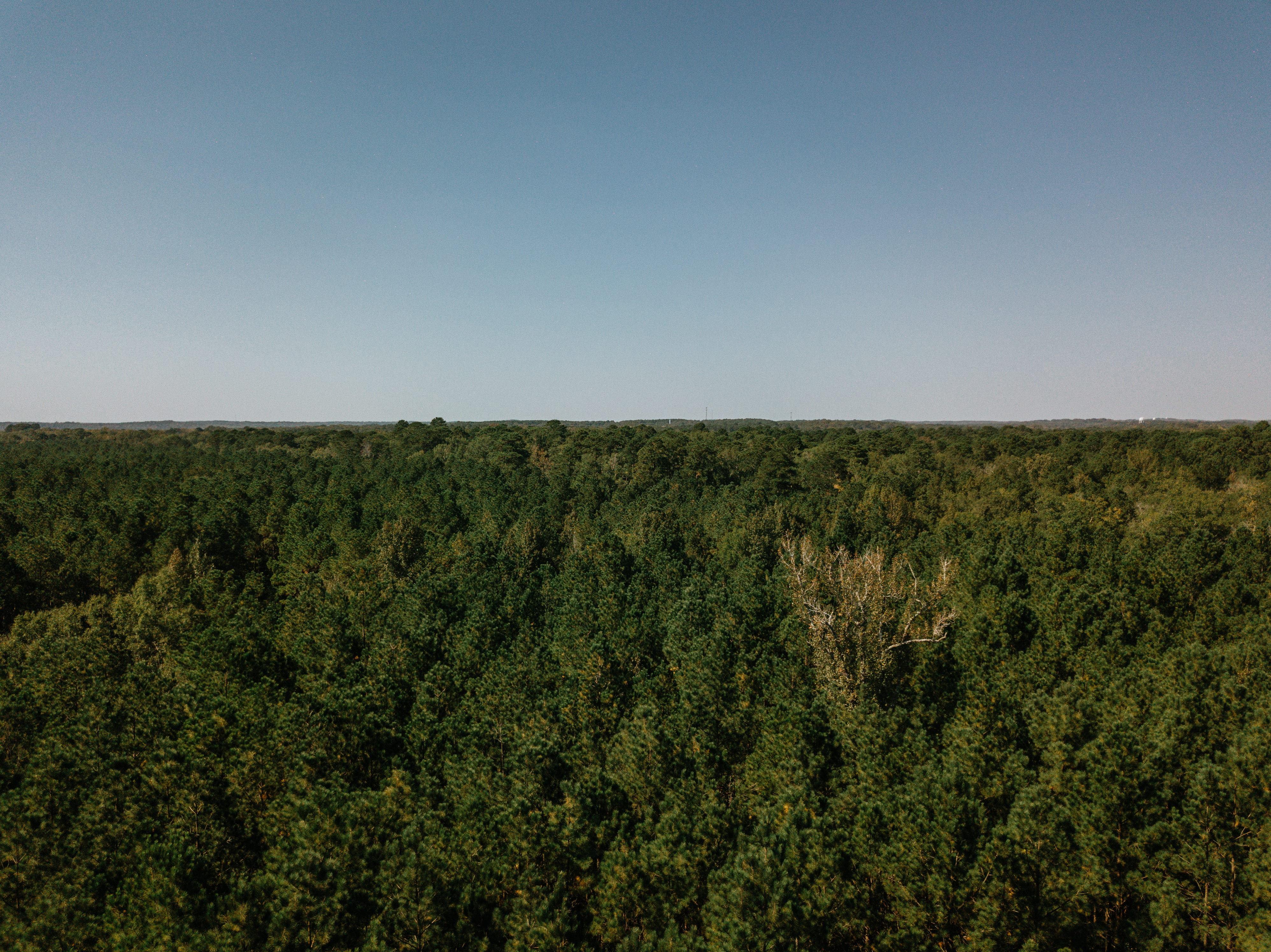 Haskell, AR 72015 - image 5