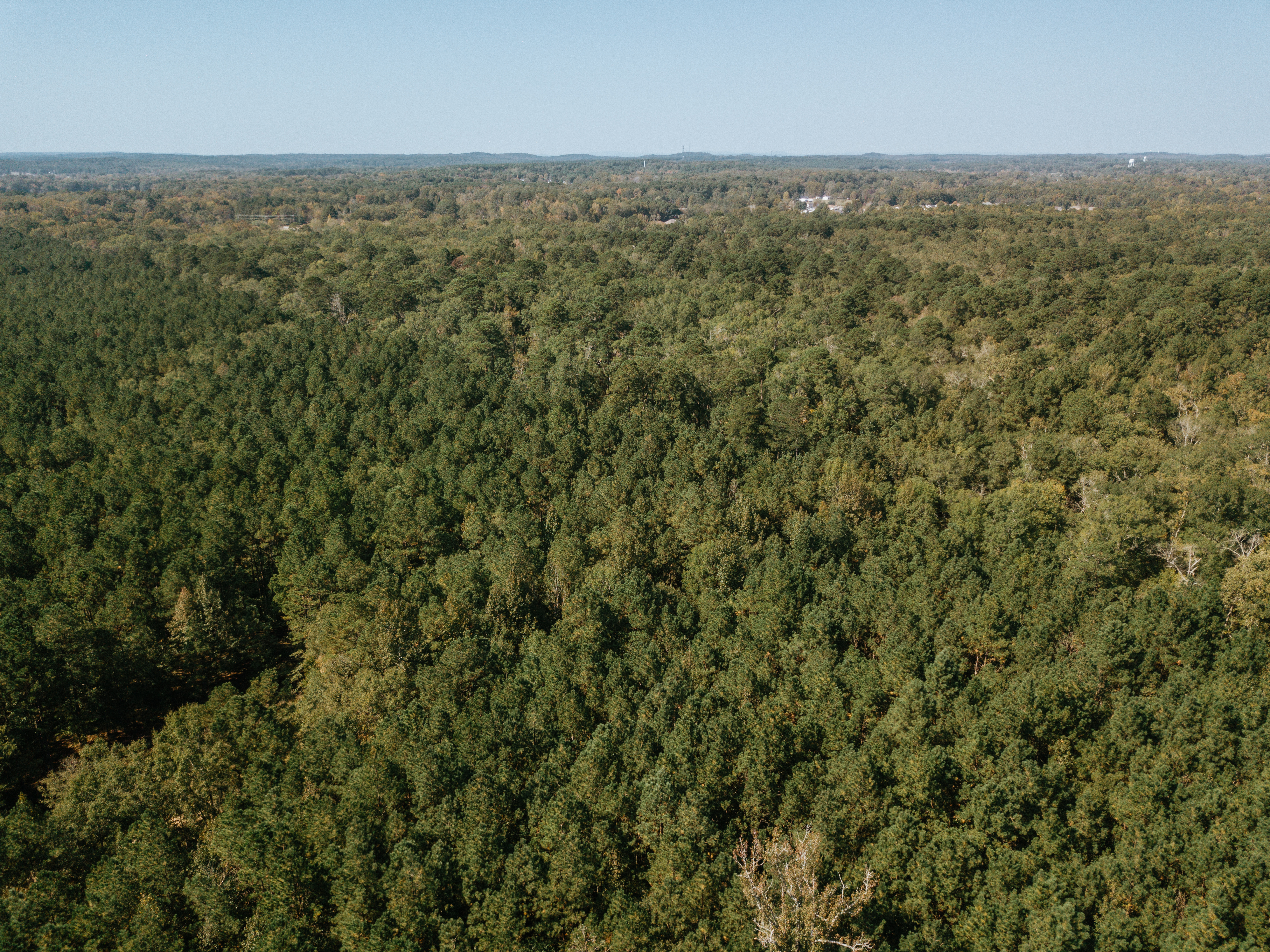 Haskell, AR 72015 - image 4